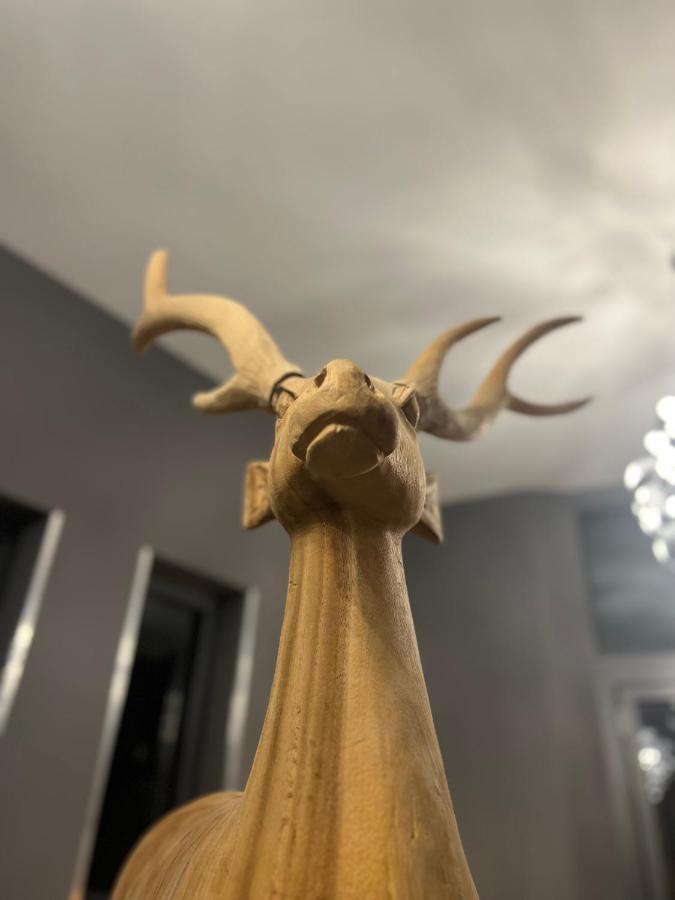 Allee Hotel 카를스루에 외부 사진